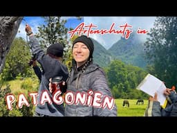 Artenschutz in Patagonien: Vögelzählungen im Urwald | Masterarbeit im Umweltschutzstudium in Chile