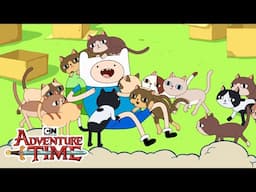Finn in the Box Kingdom | Adventure Time | Cartoon Network