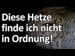 Diese Hetze gegen Torben Schiffer finde ich nicht in Ordnung!