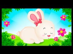 🐰 Where is the rabbit hiding? Titounis