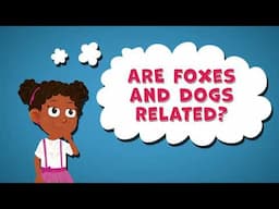 I Wonder Are Foxes and Dogs Related | Foxes Facts for Kids | Fun Animal Facts for Kids | Dogs Facts