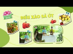 Điều xào sả ớt | CHAY VIỆT TINH HOA | TayNinhTVEnt