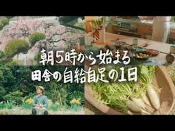【30歳田舎暮らし】朝5時から始まる春が訪れた田舎暮らしの1日 #259