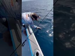 How to release toothy critters like #Barracuda without losing a finger!