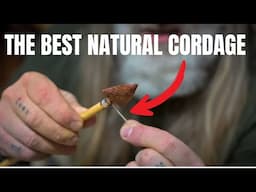 NATURE Always Provides | ELK Leg Tendon Sinew #survival #outdoorskills #survivalskills #bushcraft