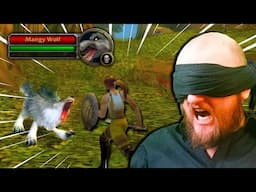 Can You Get To ALL WoW Cities BLINDFOLDED?