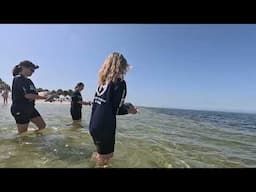 Triple Sea Turtle Release