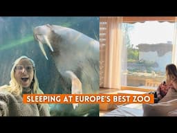 My Honest Experience Sleeping at Europe's Best Zoo!