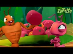 The Greedy Guest! | Antiks 🐜 | Funny Cartoons for Kids