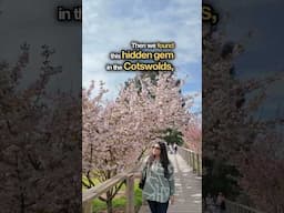 https://youtu.be/95QutxDwnEQ?si=7supD6t9N1_bMSww