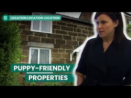 Affordable Homes with Space for a Pet! | Location Location Location UK