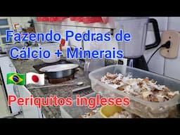 Fazendo Pedras de Cálcio + Minerais para os Periquitos ingleses Parte 1