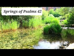 Why, my soul, are you downcast? Put your hope in God, Let's visit Psalms 42 AS DEER PANTS FOR WATER