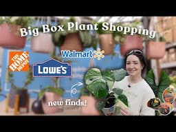 Big Box Plant Shopping! 3 Locations - Lowe's, Home Depot, & Walmart