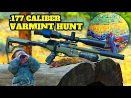 Does a SMALL Caliber Airgun Really Work Against Varmints?