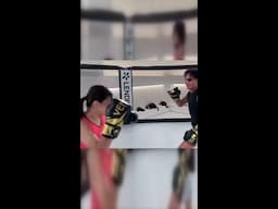 咸猪手