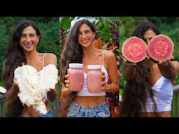 Soursop Guava Juicing Recipe! 🍍🍬 Tropical Candy 🤤 + $85 OFF a Nama J2 Juicer! 🌴