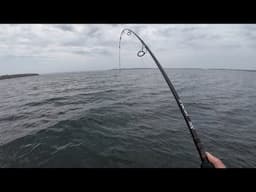 First Boat Trip of the Season was GOOD!!