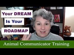 Your AC Dream Is Your Road Map to Success