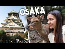 We Fed Wild Deer in Japan and THIS Happened!