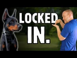 Training a Doberman Can Feel Like Mind Control (Watch What Happens)