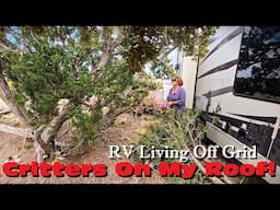 What You Been Waiting For! My Plans For Home Base & What's Working & Not After Winter | RV Off Grid