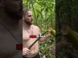 I Survived 10 days In The Most Dangerous Jungle: Eating only Heart of Palm.