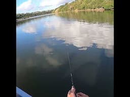 Nahoon Drift Fishing #catchandrelease #fishingsouthafrica #lighttackle #kob #mulloway #fishing