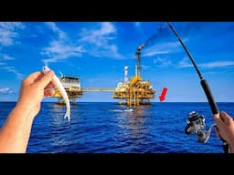 I Took My Fishing JET SKI 17 Miles Offshore and Used THIS to Catch My Dinner!!