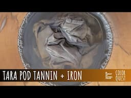 TARA POD TANNIN & IRON | ORGANIC COLOR | NEUTRAL & GRAY HUES | BUNDLE DYE | CLOUD BINDING TECHNIQUE
