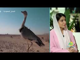 جهود المركز الوطني لتنمية الحياة الفطرية في إعادة توطين الكائنات المحلية المهددة بالانقراض
