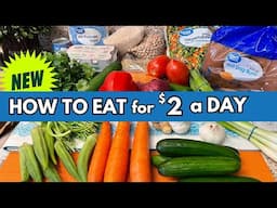 HOW TO LIVE ON $2 A DAY IN 2025