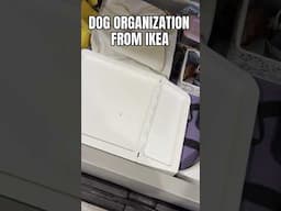 🐾🐶Rv organization for all the doggie stuff! #shorts #shortvideo #rvlife #rvorganization #rvingtips