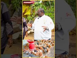 'Students இதை Enjoy பண்ணி கத்துக்கிறாங்க..!' பிரமிக்க வைத்த ACCASI Institute