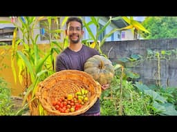Baby Harvest! | Gardening in Trinidad and Tobago