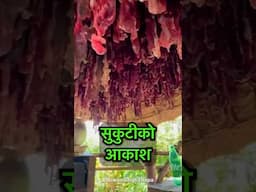 Sky Of Dry Meat सुकुटीको #shorts #food #food #meatcuts
