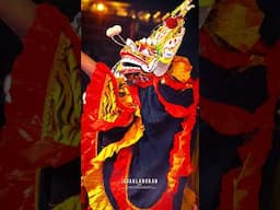 kucingan Mengamuk #jaranan #viralshorts #shortvideo #shorts