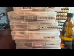 Highlight 1:11:30 - 1:16:30 from LIVE: Seed Germinating