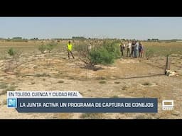 El Campo | Activado un programa de captura de conejos | 13/06/25