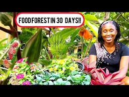 WOMAN Creates THRIVING Food Forest In CITY In Just 30 DAYS!