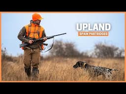 Winter Upland Partridge Hunting with Pointing Dogs | A Family Tradition