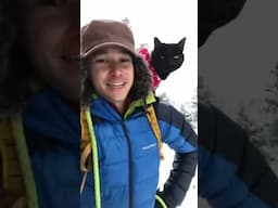 Anyone else have a kitty they love this much? 🥹😸❤️#cat #catsofinstagram#catlover #adventure#nature