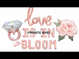 LOVE IS IN FULL BLOOM🌺You & Your Spouse Are Both Required 2B TRANSPARENT/OPEN & HONEST B4 Uniting💍‼️
