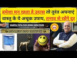 Ghar Ka Tanav Door Karein | Powerful Vastu Remedies for Mental Peace | Vastu