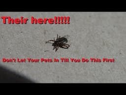 It's tick season! You better check yourself when you come out of the garden!