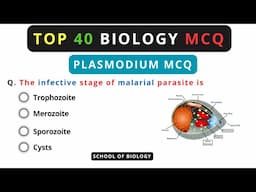 Most Important Plasmodium MCQs for Competitive Exams