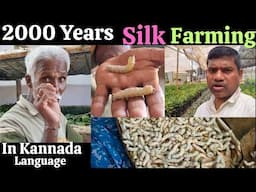 2000 Years silk farming in kannada, Silkworm farming, Sericulture farming, #silkworm