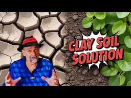 Can GYPSUM Really Save Your CLAY SOIL?
