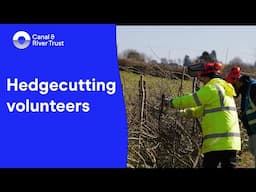 Hedgecutting Volunteers