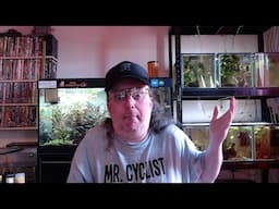Sunday Sharpe: paper planes